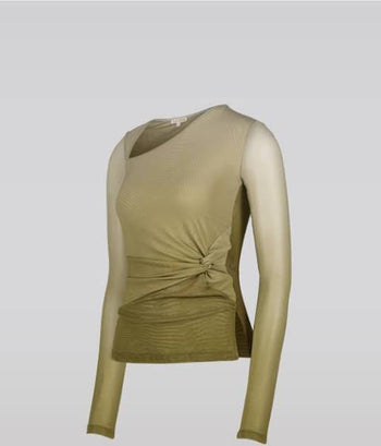 Gradient Mesh Top