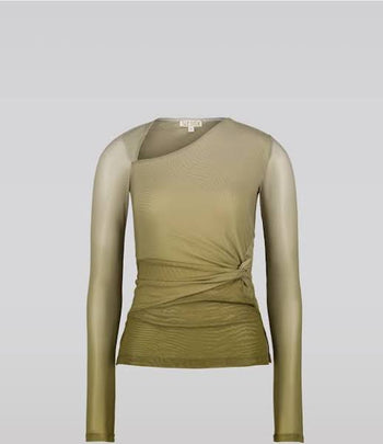 Gradient Mesh Top